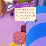 Agent Peanut｜住民の確認画像